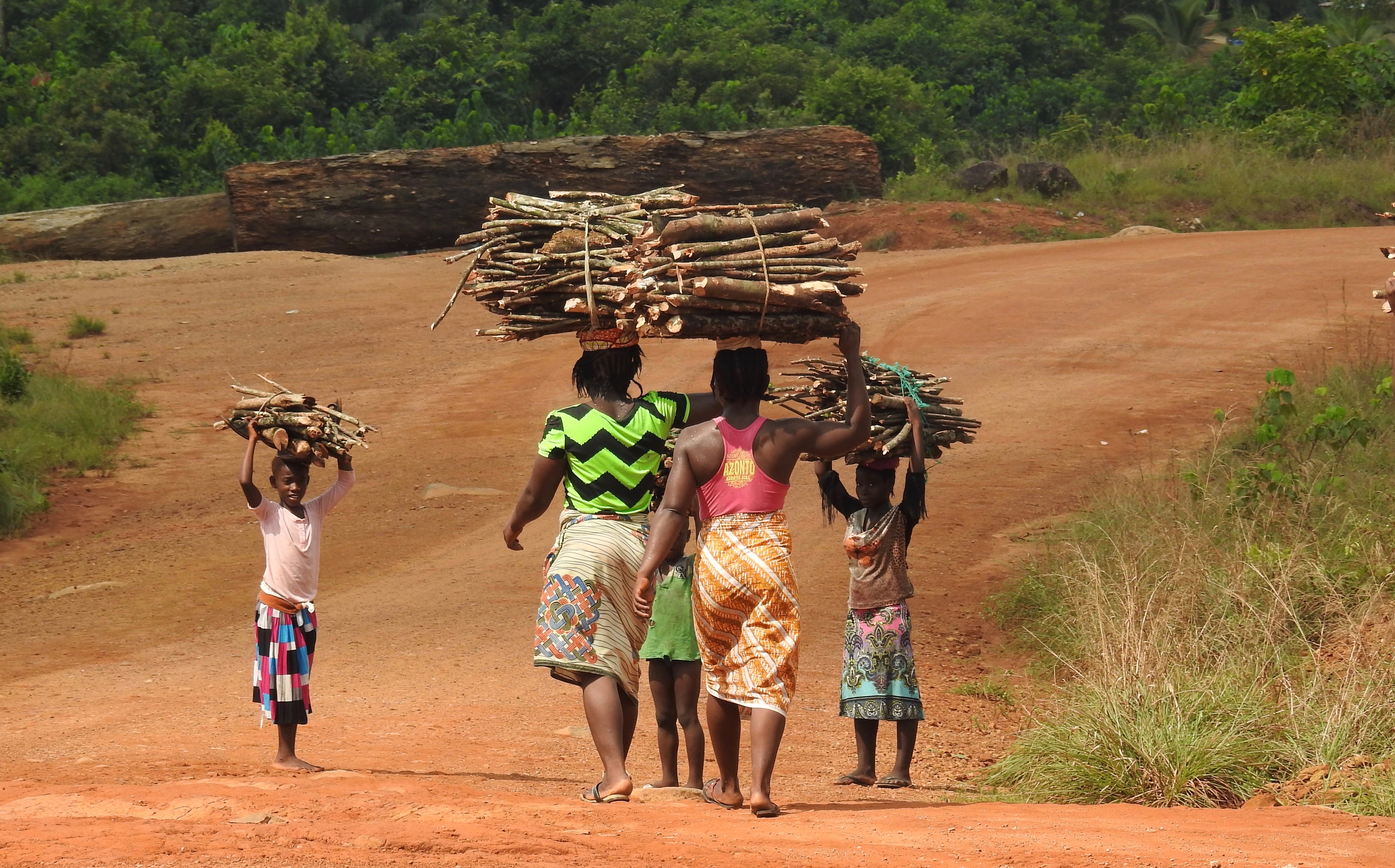 Development of REDD+ Communications and Stakeholder Engagement Strategy 